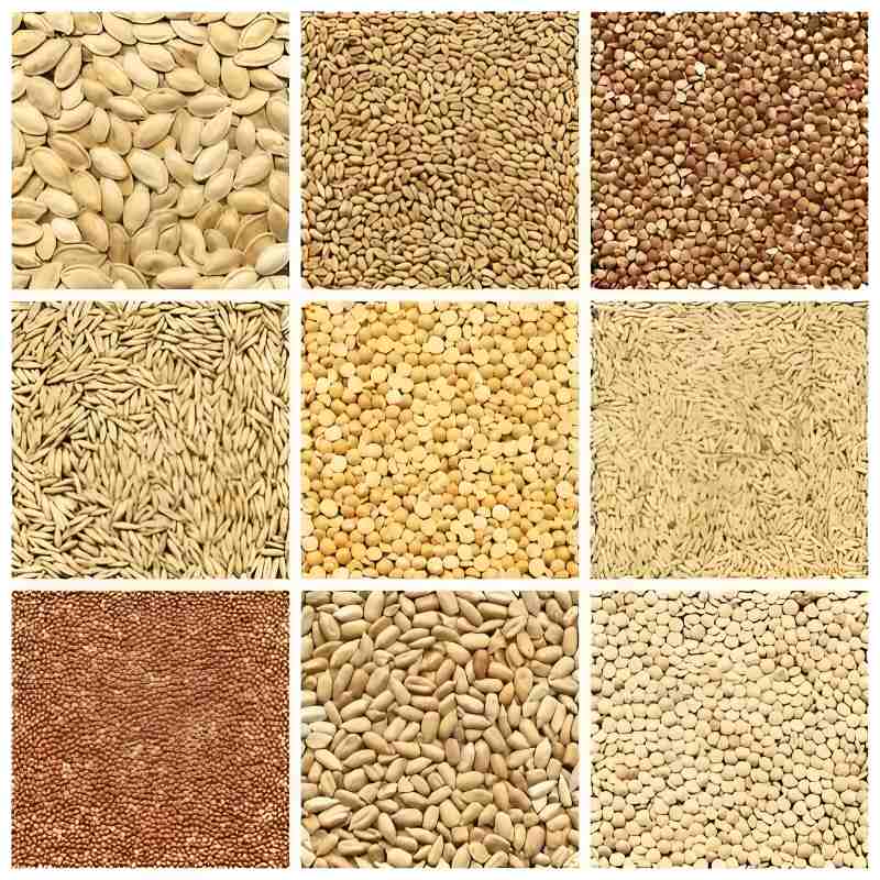 Agricultural Products