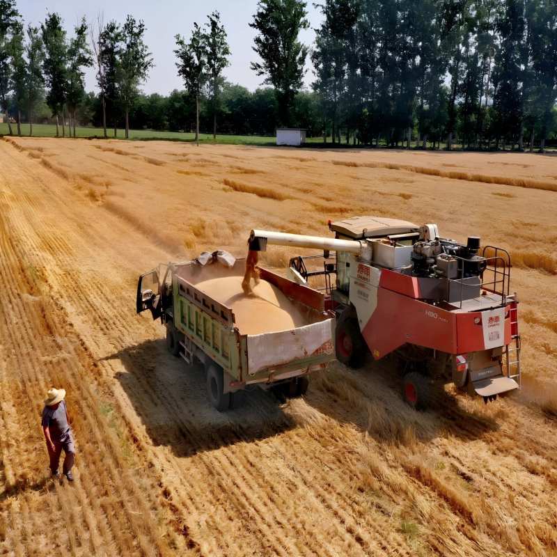 Agriculture